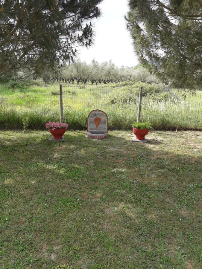 Konaki Guesthouse Ormos Panagias Exteriér fotografie